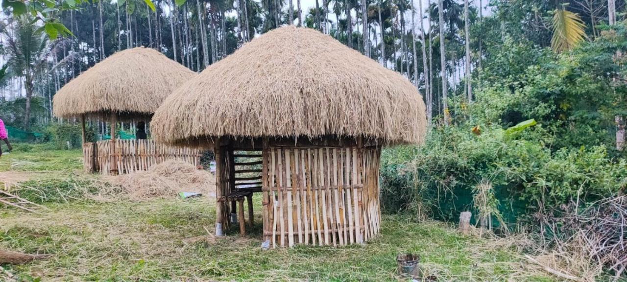 Three Roots Holiday Home Resort Sultan Bathery Exterior photo